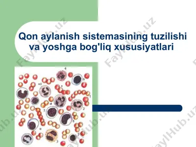 qon aylanish sistemasining tuzilishi va yoshga bog'liq xususiyatlari — PPTX
