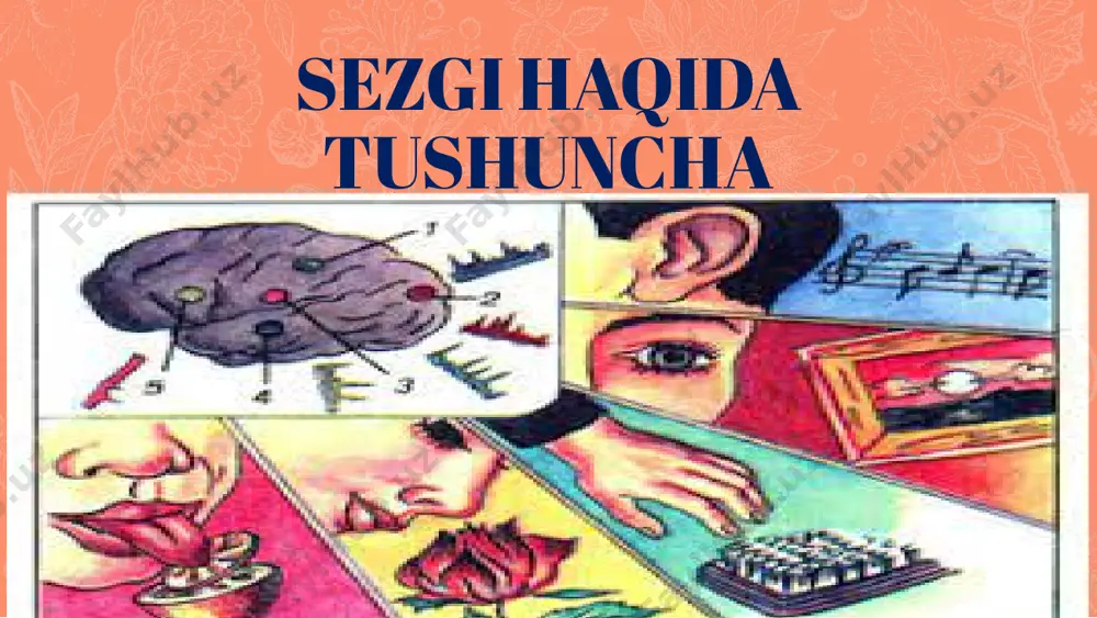 na a’zosiga narsalarning tegishini sezish tashqi qo‘zg‘atuvchi kuchayganda siqiq sezgiga aylanadi, u yanada kuchayganda og‘riq sezgisiga aylanadi. muskul –harakat sezgilari, statik sezgilar 21 muskul-harakat sezgilari motor sezgilar deb nomlanib, ularga og‘irlikni, qarshilikni, organlar harakatini bilish sezgilari kiradi. ularning organlari–gavda muskullari, paylar, bo‘g‘imlardan iboratdir. organlarning tarkibida sezuvchi nervlarning chekka tarmoqlari mavjud bo‘lib, ularning ta’sirida harakat va statik sezgilar vujudga keladi. statik sezgilar gavdaning fazodagi holatini sezish va muvozanat saqlash sezgilari deb ataladi. 22 gavdaning fazodagi holatini bilish va muvozanat saqlash sezgisi uchun ichki quloqdagi vestibulyar apparat, retseptor vazifasini bajaradi. vestibulyar apparat quloq dahlizi yarim doira kanallaridan tashkil topgan bo‘ladi, sezuvchi nerv tarmoqlari esa gavdaning fazodagi harakatini va holatini boshqaradi. gavda muvozanatini saqlashda alohida ahamiyat kasb etib, ular endolimfada suzib yuradigan mayda ohaktosh kristallardan tashkil topgan. organik sezgilarning retseptorlari ichki organlarda, qizilo‘ngach, me’da, ichak, qon tomirlari, o‘pka va shu kabilarda joylashgan bo‘ladi. ichki organlardagi jarayonlar organik sezgilar retseptorlarining qo‘zg‘atuvchilaridir. 23 noxush tuyg’ular …