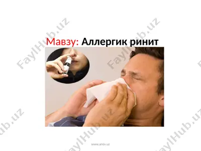 аллергик ринит — PPT