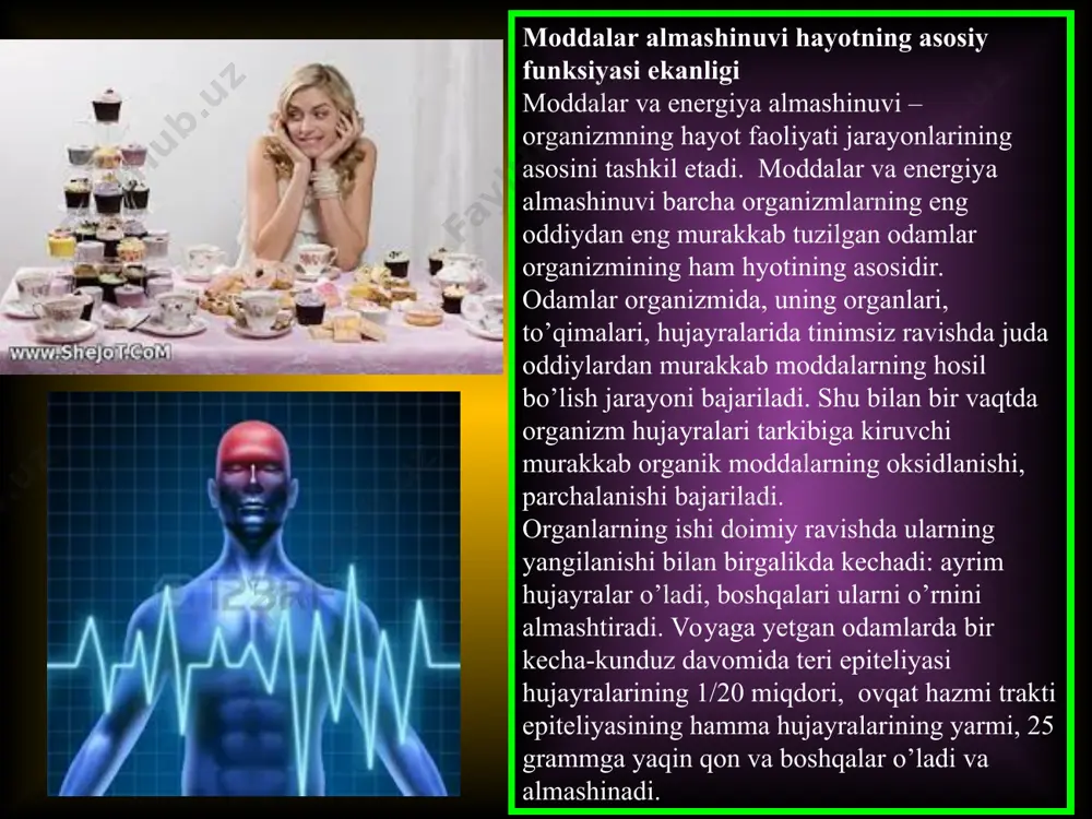 qlari va boshqala). shunday qilib, odam organizmida assimiliyatsiya va dissimi-lyatsiya jarayonlari bir-biriga bogliq holda davom etadi. soglom bo’gan katta odamlarda bu ikkala jarayonlar bir-biriga teng muvoza-natda bo’ladi. yosh organizimda assimilyatsiya jarayoni ustunroq bo’-lib, buning natijasida o’sish va rivojlanish ta’minlanadi. keksa odam-lar organizmida esa dissimilyatsiya jarayoni ustun bo’ladi. shuning uchun ham keksalarning terisi salqin bo’lib, yuzlarida ajin paydo boladi, tana muskulari o’shashib, ularning hajmi kichirayadi va qorni osilib qoladi. ogir kasalliklar vaqtida dissimilyatsiya jarayoni kuchayadi. shuning uchun, hatto yosh odamning rangi so’liydi, terisi quriydi, yuzida ajinlar paydo bo’ladi, muskullari bo’shashadi, tana massasi kamayadi. demak, organizmda assimilyatsiya va dissimilyatsiya jarayonlari uzluksiz davom etadi. ilmiy tadqiqotlarda aniqlanishiga qo’ra, odam tanasidagi har xil to’qima va tarkibiy qisimlarning yangilanish muddati turlicha bo’ladi. masalan, jigar to’qimasi va qon zardobining oqsillari 20 kun davomida butunlay yangilanadi, tana muskularining oqsillari 180 kunda yangilanadi. umuman odam tanasidagi hamma to’qimalar tarkibidagi oqsilarning yarmi har 80 kun davomida yangilanib turadi. shuni …