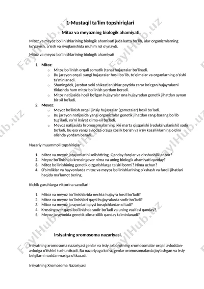 mustaqil ta'lim topshiriqlari — DOCX