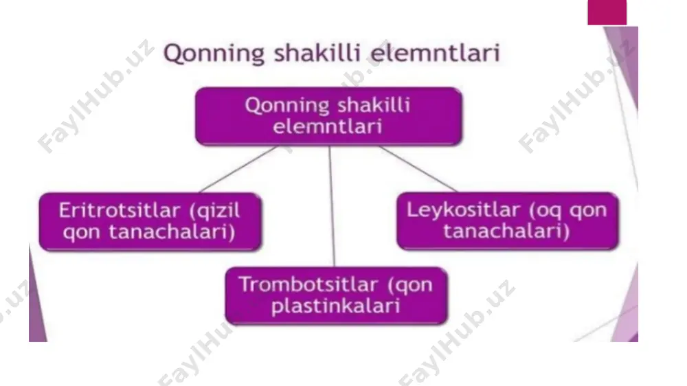 qonning shakli elementlarning normal ko’rsatkichlari - Page 5