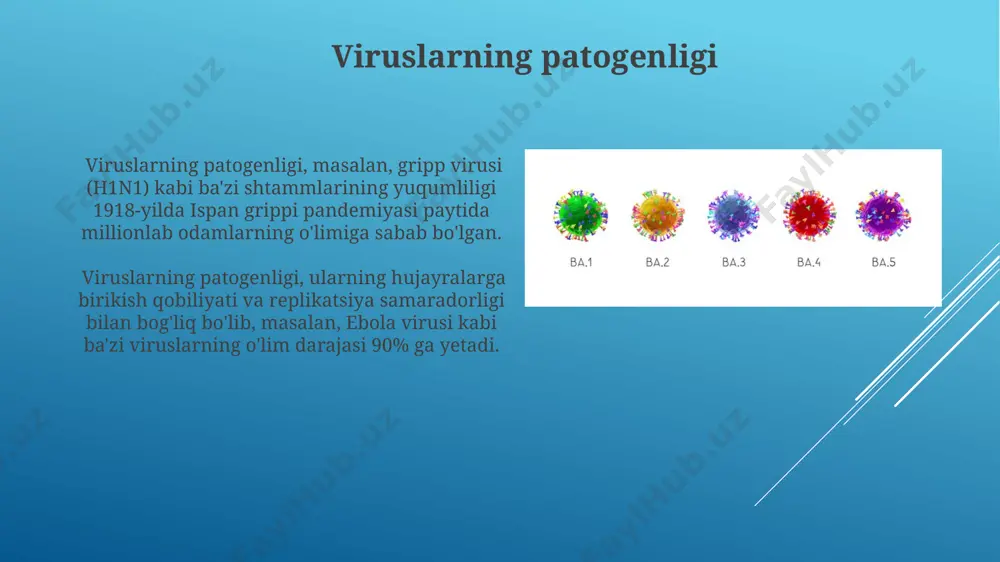 viruslarning klasifikatsiyasi - Page 4