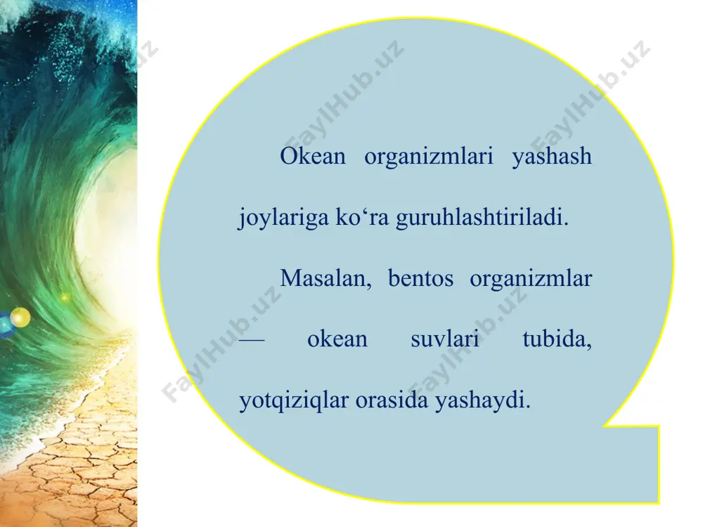 okean boyliklari, ulardan foydalanish va muhofaza qilish 6-sinf - Page 5