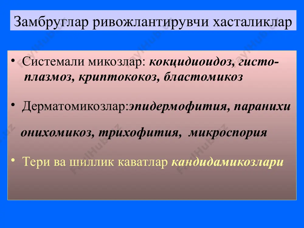 нохуш таъсири: диспепсия, диарея, терининг яллигланиши ва кичишиши, гепатотоксик таъ-р клотримазол имидазол хосиласи булиб, нистатин ва ле- ворин самарасиз булган холларда куллани- лади. клотримазол юкори даражада захар- лиликга эга. шу сабабли факат махаллий кулланилади. кетоконазол имидазол унуми,системали ва юзаки микозлар да хам самарадор. митдан яхши сурилади ку- нига бир марта ичилади. дерматомикозлар, онихомикозлар, бошнинг сочли кисми, огиз бушлиги, куз,кин, мит,пешоб ва жинсий йул- лар ва бошка ички аъзоларнинг бластомицетоз ларида кулланилади. нохуш таъсири: диспеп- сия,диарея,бош огриги,бош айланиш, уйкучан- лик,артралгия, геникомастия, алопеция, жигар функциясини бузилиши. хомиладор, эмизувчи аёлларда, жигар ва буйрак хасталикларида кул лаш мумкин эмас. флуконазол триазол унуми, кучли антимикоз таъсирига эга митдан тез сурилади, конда узок сакланади. 80% пешоб билан ажралади. энтерал ва парен- терал кулланилади: криптококкозларда(минин- гитида хам), системали кандидозлар, иммунит- ет пасайиши туфайли замбругли хасталиклар келиб чикиши хавфи тугилганда( усмалар, нур терапияси, цитостатиклар, горомонлар берилга да)нохуш таъсири: диарея, метиоризм, дерма- тит. хомиладор, эмизувчи аёлларга ва 16 тига …