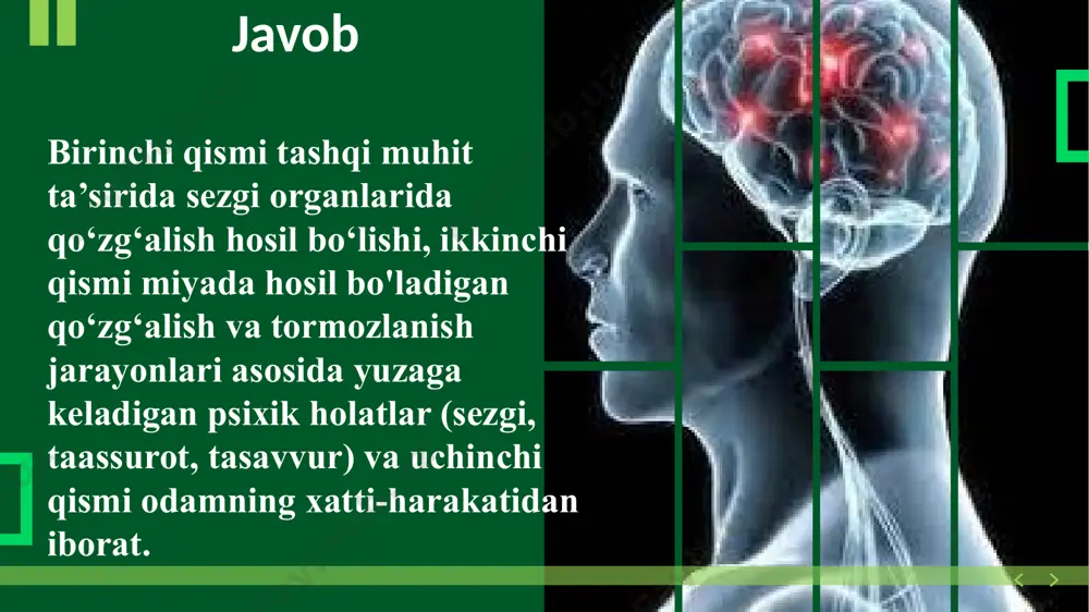 reflekslar va nerv sistemasining faoliyati - Page 4