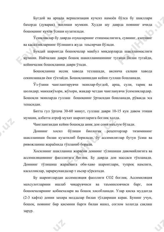 лганда униб чиқишга қодир. онтогенезда ўсимликнинг ривожланиши овропа мамлакатларида ривожланиш босқичлари деб аталади ва уларнинг шкаласи бўйича 9 та ривожланиш босқичлари мавжуд. 3.онтогенез босқичлари. ўсимликнинг ривожланиши кўпчилик олимлар томонидан ўрганилган ва улар томонидан шу нарсалар белгиланган: фенологик даврларнинг ўтиш даврида ўсимликда сифат ўзгаришлар бўлади вахоланки уларни кўз билан чамалаб аниқлаб бўлмайди. донли экинларнинг ривожланишини ўрганишда бошқа олимлар билан биргаликда ф.м.кўперман ўз қиссасини қўшди, у бир йиллик ўсимликларда онтогенезнинг 12 та босқичини ўташини ёритиб берган(1). биз дон экинларининг ривожланишининг асосий босқичларини кўриб чиқамиз. фенологик даврларни кузатиш билан бир вақтнинг ўзида органогенез босқичларини систематик равишда аниқлаб бориш жуда мухим. умуман бир йиллик ўсимликлар қуйидаги органогенезнинг 12 та босқичлари аниқланган: i босқич- бўлгуси новда органларининг бирламчи муртаклари билан ўсиш конусининг шаклланиши. физиологик, цитологик муносабатида ўсиш конуси хосил қилувчи тўқимани ташкил қилади-яъни меристемани. шакли гумбазсимон, хужайралари кучсиз табақалашган. бу қисми рангсиз. бу босқич уругнинг униб чиқиши билан хамда қўнгирбошли ўсимликларда майсанинг пайдо бўлиши билан …