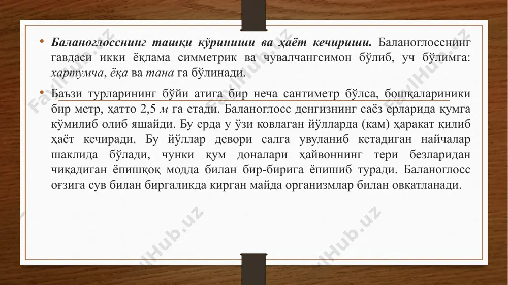 rida – sovet ittifoqi evropa qismining shimolidagi dengizlar bilan sovet uzoq sharqidagi dengizlarda juda kam uchraydigan turlari bor. ulardan bittasi balonoglossus urug'iga, boshqa ikkitasi esa unga yaqin urug'larga kiradi. balanogloss kabi boshqa ichak bilan nafas oluvchilarda hech qanday metameriya belgisi bo'lmasa ham, ularni tipik xordali hayvonlarga o'xshatadigan bir qancha muhim belgilari (boshlang'ich (murtak) hamda xorda va nevrotsel, jabra yoriqlari, tselom ikkilamchi og'iz) bor. ikkinchi tomondan nerv sistemasining tuzilishiga hamda gavda bo'shlig'ining atrofini o'rab turgan teri-muskul xaltasiningn borligiga qaraganda ichak bilan nafas oluvchilar halqali chuvalchanglarga o'xshab ketadi. nihoyat, ichak bilan nafas oluvchilarning tornariya deb ataladigan lichinkasi nina terililar lichinkasiga, xususan goloturiya juda ham o'xshaydi. jumladan ninaterililarning lichinkasiga o'xshash, tornariya gavdasida ham maxsus kiprik torlari, tepa nerv tugunchasi va ikkita ko'zcha bor. xordalilar tipi – chordata. xordalilarning umumiy tuzilishi. jihozlar eritmada fiksatsiyalangan umurtqali hayvonlar ho'l preparati. tablitsalar: umurtqali hayvonlar tashqi ko'rinishi; ichki organlarining umumiy joylashishi,qon aylanish sistemasi. mikroskoplar. lupalar. xordalilar (chordata) tipiga …