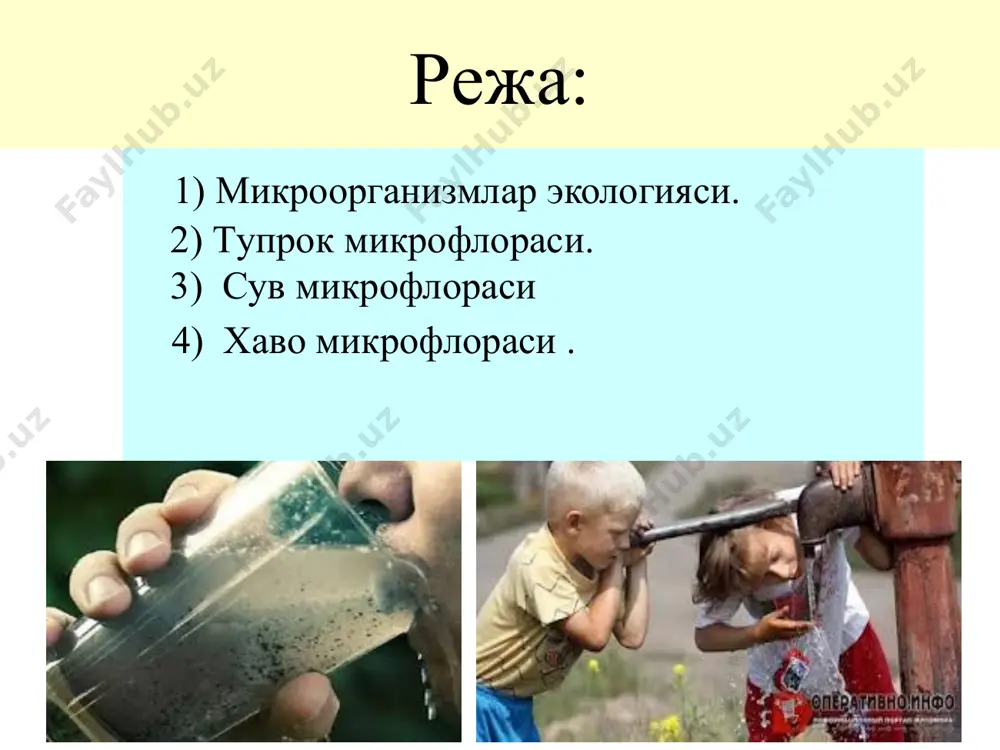 i. yozning eng issiq davrida birmuncha kamayadi, buning asosiy sababi tik tushayotgan quyosh nurlarining bakteriotsid ta'siridir. kuzda mikroorganizmlar miqdori tuproqda yana oshib boradi, qishda esa sovuq harorat hisobiga kamayadi. viola yedonsis tuproqqa suvdan, havodan, hayvonlar chikindisidan va o'simliklardan, shuningdek, sanoat korxonalaridan chiqadigan oqova suvlardan ko'plab patogen, shartli patogen mikroorganizmlar tushadi. odam uchun patogen bakteriyalarning tuproqda saqlanishi va yashashi tuproqning turiga, o'z-o'zini tozalash hususiyatiga, ayniqsa mikroorganizmlarning turiga bog'liq. bakteriyalar tuprokdagi sharoitga karab xar xil uzoklikda yashaydi. masalan, sil tayokchasi 5 oydan 2 yilgacha, brutsellalar - 100 kungacha, yiring xosil kiluvchi kokklar - 2 oygacha, yashaydi. ammo patogen mikroblarning sporalari (kuydirgi, kokshol, gazli gangrena ko'zg'atuvchilarning sporalari) tuprokda bir necha oy, yillab yashaydi. tuproqqa patogen bakteriyalar asosan najas, balgam, peshob, makroorganizm chikindilari orqali tushadi. tuproqning najas bilan qachon va qay darajada ifloslanganligini aniqlash uchun bir nechta sanitariya ko'rsatkich bakteriyalardan foydalaniladi. tuproqda e.coli va str.faecalis bo'lishi tuproqning yangi najas bilan ifloslanganligidan darak bersa, citrobacter …