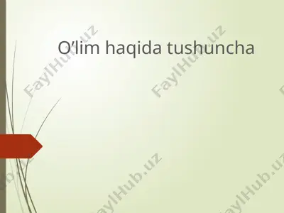 o’lim haqida tushuncha — PPTX