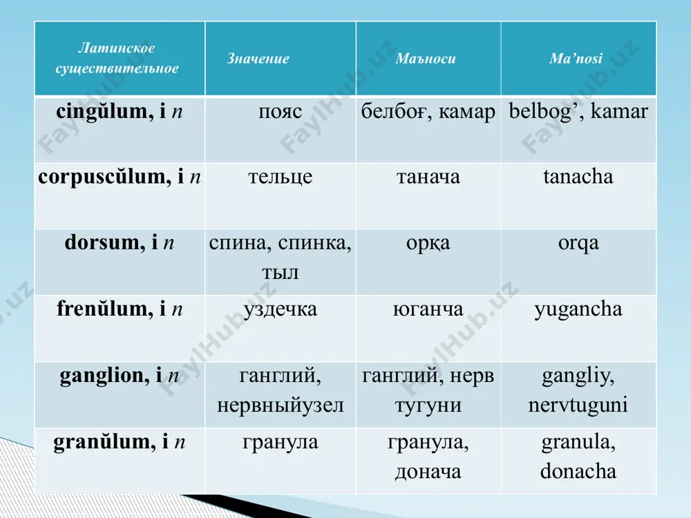 iii-turlanishdagi neutrum roddagi otlar - Page 3