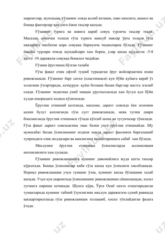 нинг кучли ўсиб, тупроқ ичига анча чуқур кириб боришидан қатьий назар у сув билан етарли миқдорда таъминлангандагина яхши ўсиб ривожланади. хамда серкўсак хосил шохлари чиқаради, яьни мўл хосил тўплайди. ўрта осиёнинг турли шароитида ўсаётган хар хил ғўза навларида транспирация коэффициенти бутун ўсув даврида ўртача 600-700 га тенг. бу рақам асосан ўсимликнинг ўсиш шароитига қараб кўпинча 400 билан 800 орасида ўзгариб туради, баьзан 1000 га ва, хатто 1400-1600 га етиши хам мумкин. ўсимликнинг ўсиш шароити қанча яхши бўлса, транспирация коэффициенти хам шунча кичик бўлади, демак, ўсимлик сувдан шунчалик тежаб фойдаланади. бу гўзани суғоришда (сув танқис бўлган йилларда) айниқса муùèмдир. транспирация коэффициенти ғўза ўстириш ва агротехника шароитининг қанчалик катта таъсир этишини қуйидаги жадвал маълумотларидан яққол кўриш мумкин: ғўза гуллаш даврида унинг абсолют сув сарфи юқори даражага кўтарилади, чунки бу даврда ўсимлик кучли ўсиб, унда жуда қатта буғлатиш сатхи вужудга келади. бундан ташқари гуллаш даврида ғўза атрофидаги мухит хавосининг харорати ва қуруқлиги юқори …