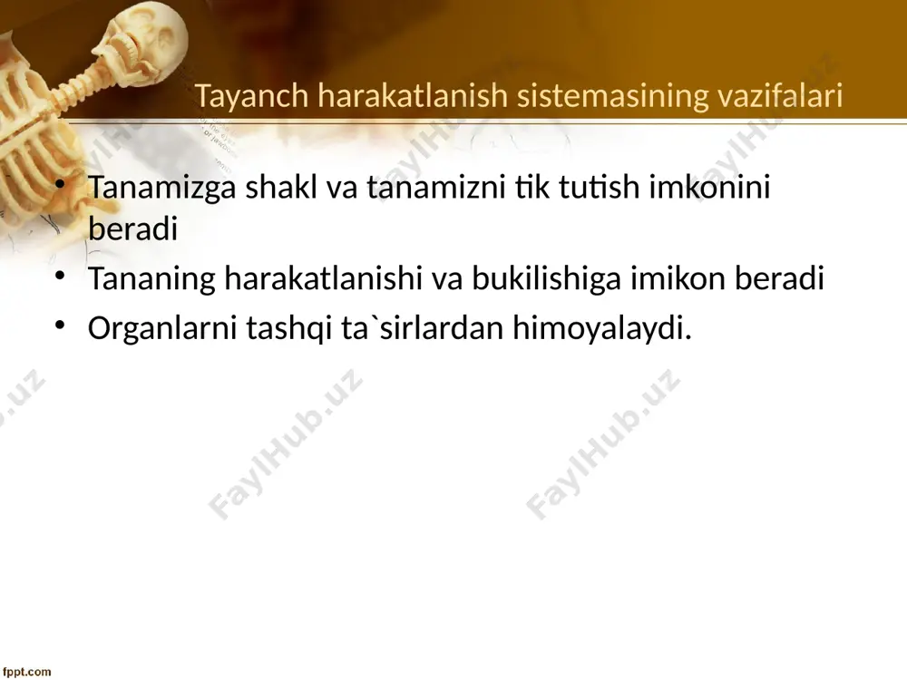 tayanch-harakat tizimi va uning yoshga bog’liq xususiyatlari - Page 5