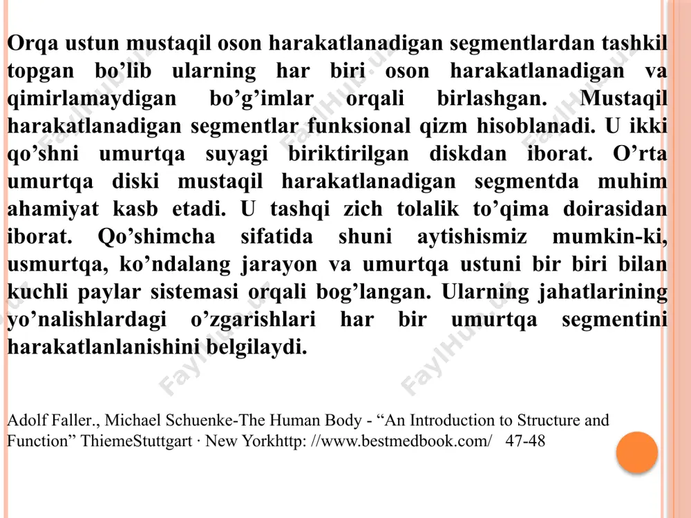 shuksimon o‘siq bo‘rtib chikkan. kurakning oldingi, qovurg‘alarga karagan yuzasi botikrok bo‘lib, kurak osti chuqurini hosil qiladi. kurakning orqa yuzasi baland kirra bilan ikkita teng bo‘lmagan kisimga bo‘linib turadi. kurakning baland kirrasi lateral tomonga davom etib, elka o‘sig‘i – akromionda tugaydi. chanoq kamari va erkin oyoq skeleti. oyok suyaklari: chanok kamarining suyaklari va erkin oyok suyaklariga bo‘linadi.chanok kamari ikki tomondan bittadan chanok suyakdan, erkin oyok suyaklari esa son suyagi, katta – kichik boldir va panja skletidan tashqil topgan. tos, ya’ni chanok suyagi uch kismga: yonbosh suyagi, kuymich suyagi va kov suyagiga bo‘linadi. bu suyaklar 16-18-yoshda bir juft chanok suyagi bo‘lib ko‘shiladi. yonbosh suyagi-tos suyakning ustki qismini tashqil qiladi. yonbosh suyagining pastki yo‘gonrok qismi, tanasi ko‘ymich kosasi tuzilishida katnashadi. suyakning tanasidan yuqoriga serbar plastinka, kanot “s” shaklida keng bo‘lib, g‘adir- budirliklar ko‘rinadi. bu g‘adir-budirlikka muskullar yopishadi. kanotning yuqorigi cheti yonbosh kirrasi deb ataladi. bu kirra suyakning old va orqa tomonida oldingi ustki …