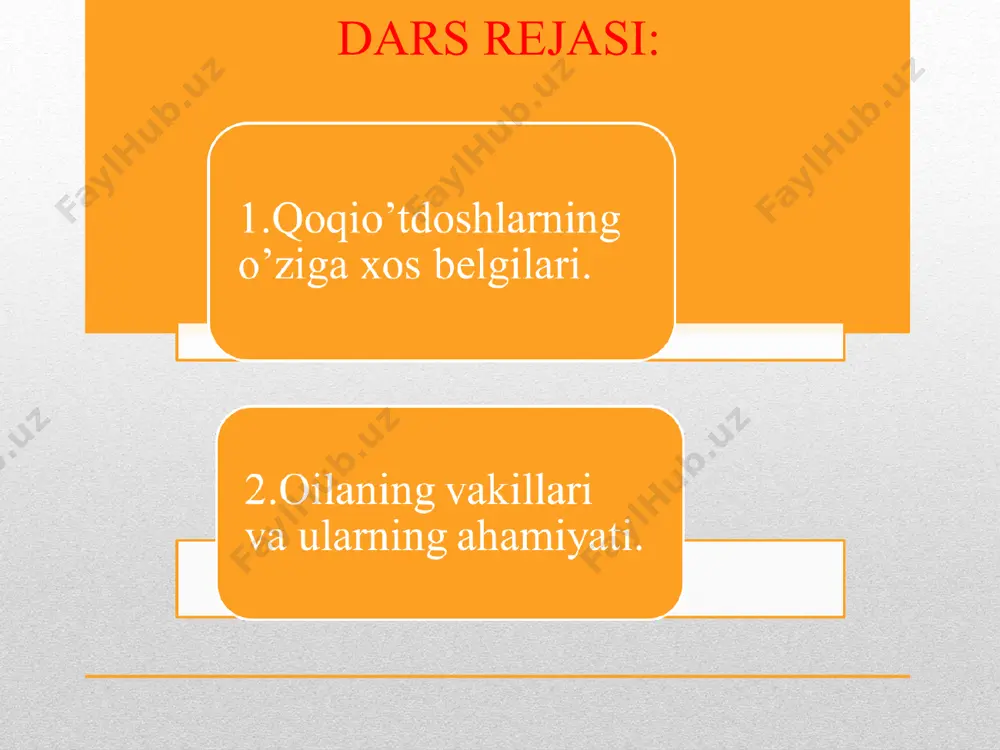 qoqio’tdoshlar oilasi - Page 2