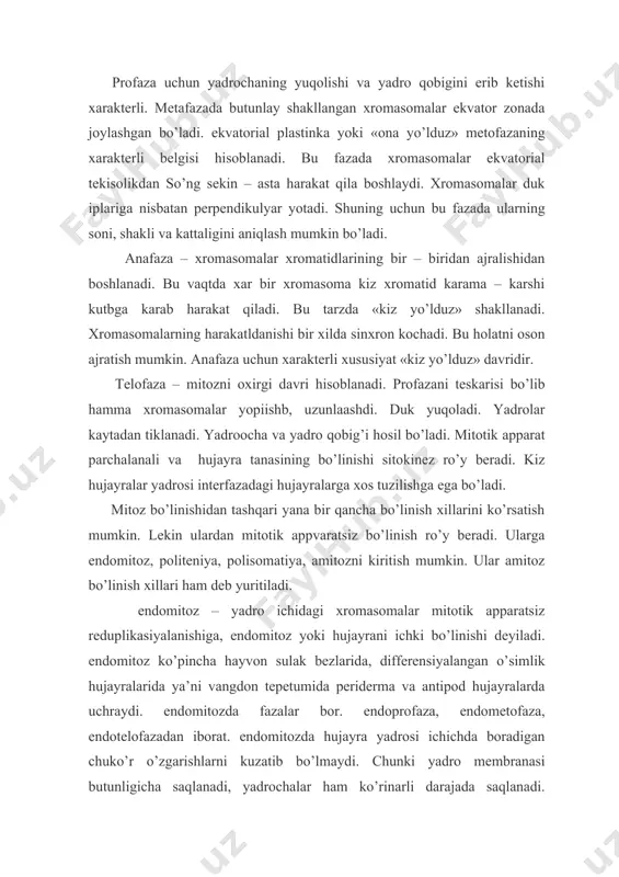 mitozda hujayra yadrosi ichichda boradigan chuko’r o’zgarishlarni kuzatib bo’lmaydi. chunki yadro membranasi butunligicha saqlanadi, yadrochalar ham ko’rinarli darajada saqlanadi. xromasomalar spiralsizlangan holatda ingichka xromanemalar xrolida qoladi. yoruglik mikroskopi ostida endomitoz bo’linayotgan yadro ichki strukturalarni uzgartirmay turib, ozmi ko’pmi teng kattalikda 2-3 bo’lakga bo’lingan holatda ko’rinadi. endomitoz bo’linishida ko’pmncha sitoplazma bo’linmaydi. 2 va tup yadroli hujayra hosil bo’ladi. lekin xromasoma apparatida duk hosil bo’lmaydi. endomitoz bo’linishda hujayralararo yadro moddalar tugri taksimlanmaydi. lekin hosil bo’lgan hujayralar ixtisoslangan hujayralar sifatida uzlarining strukturasi va xayot faoliyatida o’zgarish hosil qilmaydi. endomitoz bo’linish hujayra xayotidagi degan fikr uzok vaqtlargacha xukmronlik qildi. lekin so’nggi vaqtlardagi tekshirishlarning ko’rsatishicha. butunlay soglom va yosh hujayralar ham endomitoz bo’linar ekan. m: piyoz ildizi, kartoshka tugunagi kabi tez usadigan tukimalarda kuzatitsh mumkin. lekin bu bo’linish kabi yuqori differensiyalashgan hujayralarda ko’prok uchraydi. ular o’simlik ning bugim oralik hujayralarida bazi urugli o’simliklarning shakllanayotgan endosperm hujayralarida. piyoz tubi hujayralarida, sumkali zamburuglarda, sumkalarining shakllanishida kuzatilgan. achitki …
