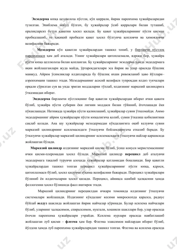 стлоқ экзодерма, мезодерма ва эндодерма қатламларидан иборат. экзодерма юпқа целлюлоза пўстли, кўп қиррали, йирик паренхима ҳужайраларидан тузилган. эпиблема нобуд бўлгач, бу ҳужайралар ўсиб қирралари билан туташиб, оралиқларсиз бутун қаватни ҳосил қилади. бу қават ҳужайраларининг пўсти қисман пробкалашиб, то ҳақиқий пробкали қават ҳосил бўлгунча қопловчи ва ҳимояловчи вазифасини бажаради. мезодерма кўп қаватли ҳужайралардан ташкил топиб, у бирламчи пўстлоқ паренхимаси ҳам деб аталади. унинг ҳужайралари цитоплазмали, ядроси бор, ҳужайра пўсти юпқа целлюлоза билан қопланган. бу ҳужайраларнинг экзодерма ҳамда эндодермага яқин жойлашганлари жуда майда, ўртароқдагилари эса йирик ва улар орасида бўшлиқ мавжуд. айрим ўсимликлар илдизларида бу бўшлиқ яхши ривожланиб ҳаво йўллари– аэренхимани ташкил этади. мезодерманинг асосий вазифаси тупроқдан илдиз тукчалари орқали сўрилган сув ва унда эриган моддаларни тўплаб, илдизнинг марказий цилиндрига ўтказишдан иборат. эндодерма бирламчи пўстлоқнинг бир қаватли ҳужайралардан иборат ички қавати бўлиб, ҳужайра пўсти суберин ёки лигнин моддаси билан тўйиниб, ёғочлашади ёки пўкаклашади. натижада ҳужайра пўсти қалинлашиб, ҳужайралар сувни ўтказмайди. аммо эндодерманинг …