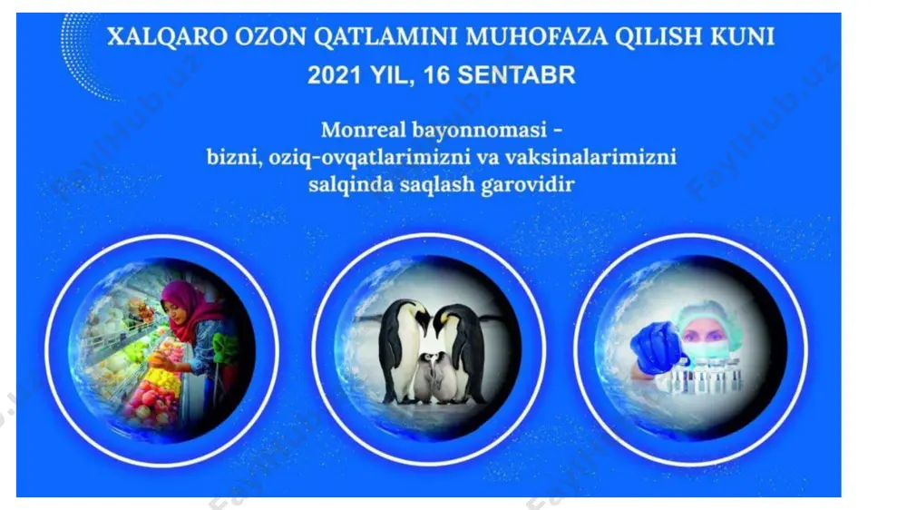 ozon - Page 5