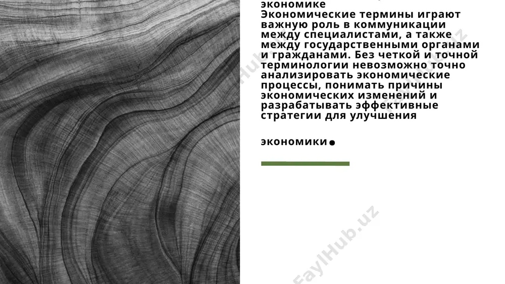 ekonomicheskaya terminologiya - Page 4