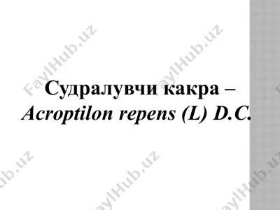 судралувчи какра — PPTX