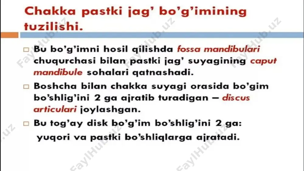 chakka pastki jag’ bo’g’imi - Page 3