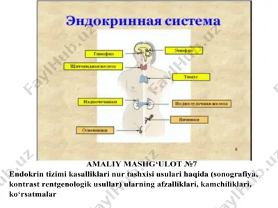 gipofiz bezining kasalliklarining nur tashxisoti — PDF
