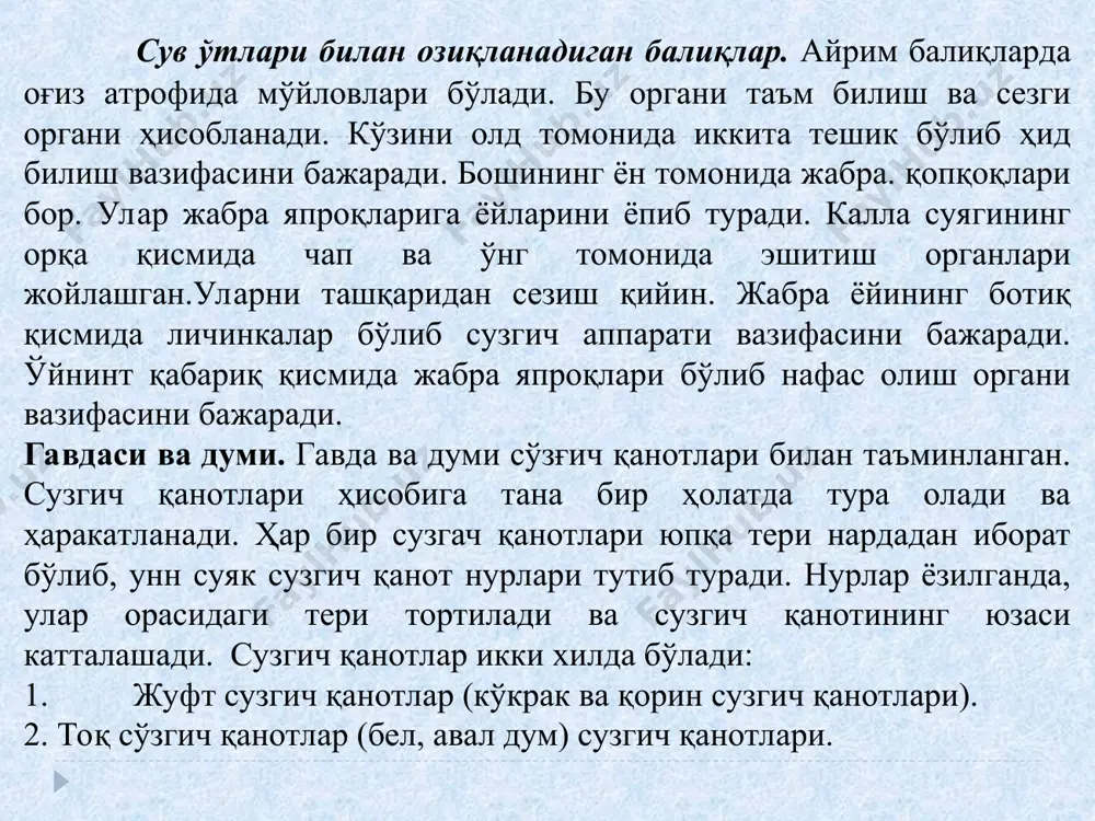 кки хил бўлиб, ҳимоя воситасини бажарувчи шохсимон скелет (тангачалар) бўлса, иккинчиси таянч вазифасини бажарувчи ички скелетдир. ички скелет-бош скелети, умуртқа поғонаси, кўкрак, қорин, орқа ва дум ости, дум сузгич қанотларининг скелетидан иборат. калла скелети суяклар йиғиндисидан иборат бўлиб бевосита умуртқа билан бирикади. умуртқа бутун танаси бўйлаб бошдан то дум сузгич қанотигача чўзилиб боради. балиқлар эмбрионал ривожланиш даврида умуртқа ўрнида хорда бўлиб, вояга етганида хордани кичик тоғайсимон қисми сақланиб қолади. шунинг учун балиқлар хордалилар типига киритилган. 1. бош ховуз қуйилиш қисми ёки яйратгич 2. сув қабул қилиш ховузи 3. қишлов ховузи 4. урчитиш ховузи 5.ёзги она балиқлар ховузи 6. ўстириш ховузи 7. сув таъминловчи канал 8. ховузларни сув билан тўлдириш қисми 9. карантин ховузи 10. ховузнинг остки оқар қисми 11. ташландиқ сув канали балиқларни касаликларини олдини олиш ва ховузларда механизация жараёнини яхшилаш лозимдир. балиқ ишлаб чиқиш – экстенсив (500 – 1200 доналарга 1-3 ц/га бир йиллик балиқлар), - ярим ёки чала …