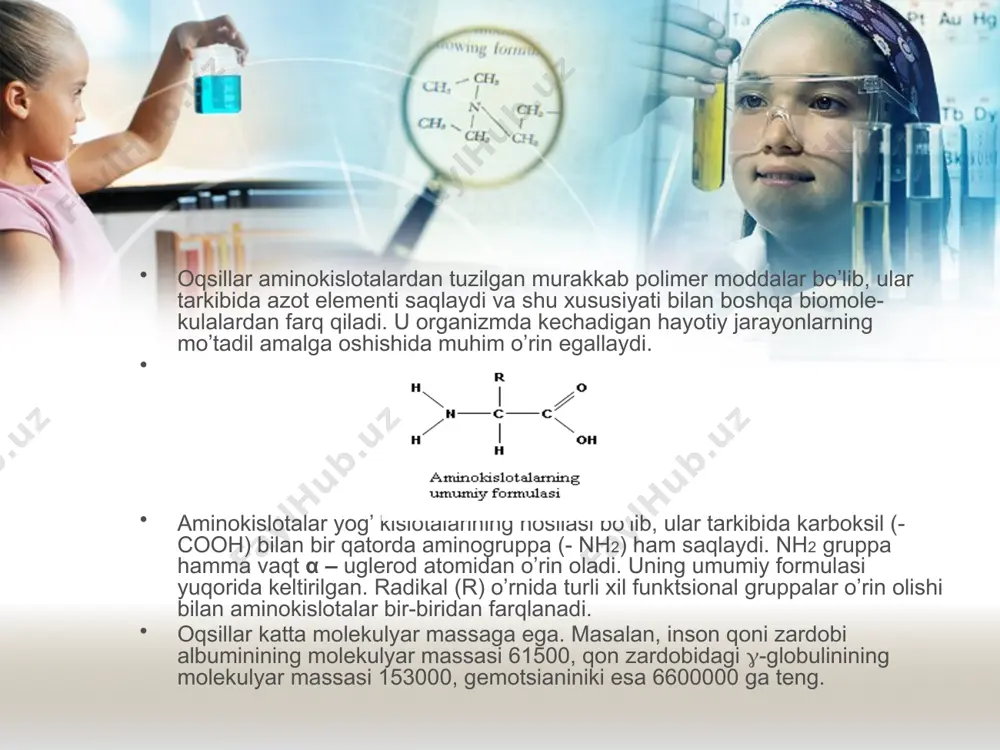 ketadilar. proteolitik fermentratemiri fermenti), (proteazalar), pesin (oshqozon fermenti), tripsin (oshqozon osti temiri fermenti), peptidalar (ichak fermentlari) oqsillari uchun kuchli gidrolitik vositalar bo’lib xizmat qiladilar. har qaysi ferment alohida aminokislotalardan hosil bo’lgan peptid bog’ni parchalaydi. hozirgi vaqtda ko’plab murakkab bo’lmagan oqsillar aminokislotalar tarkibini aniqlaydigan usullar mavjud. bular orasida xromatografiya alohida ahamiyat kasb etadi. oqsillar tarkibiga 25 ga yaqin turli aminokislotalar kiradi. bu aminokislotalardan 8 tasi almashtirib bo’lmaydigan aminokislotalar deb atalib, ularni inson tayyor holda iste’mol qiladi. agar, shu 8 ta aminokislotalardan birortasi inson iste’mol qilayotgan ovqat tarkibida yetarli darajada bo’lmasa, bu turli kasalliklarni kelib chiqishiga sabab bo’ladi. oqsillar gidrolizlanganda tabiiy aminokislotalar (ularni soni 22 ta) ning barchasi hosil bo’ladi. turli oqsillardagi aminokislotalarni miqdori turlicha bo’ladi. suvda eriydigan oqsillar monodispers tuzilishga egalar. chunki ular aniq aminokislota tarkibiga ega va bu aminokislotalar ma’lum tartib bilan bog’lanishida hosil bo’lgandir. oqsil molekulasida aminokislota qoldiqlari chiziqli peptid bog’ bilan bog’langan. oqsillarni aminokislotalar qoldig’idan peptid bog’ hosil …