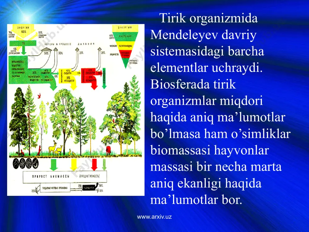 ekologiya faninng asosiy qonunlari - Page 5