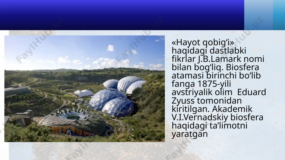 biosfera darajasining xususiyatlari. biosfera haqida ta’limot. 11 - sinf - Page 4