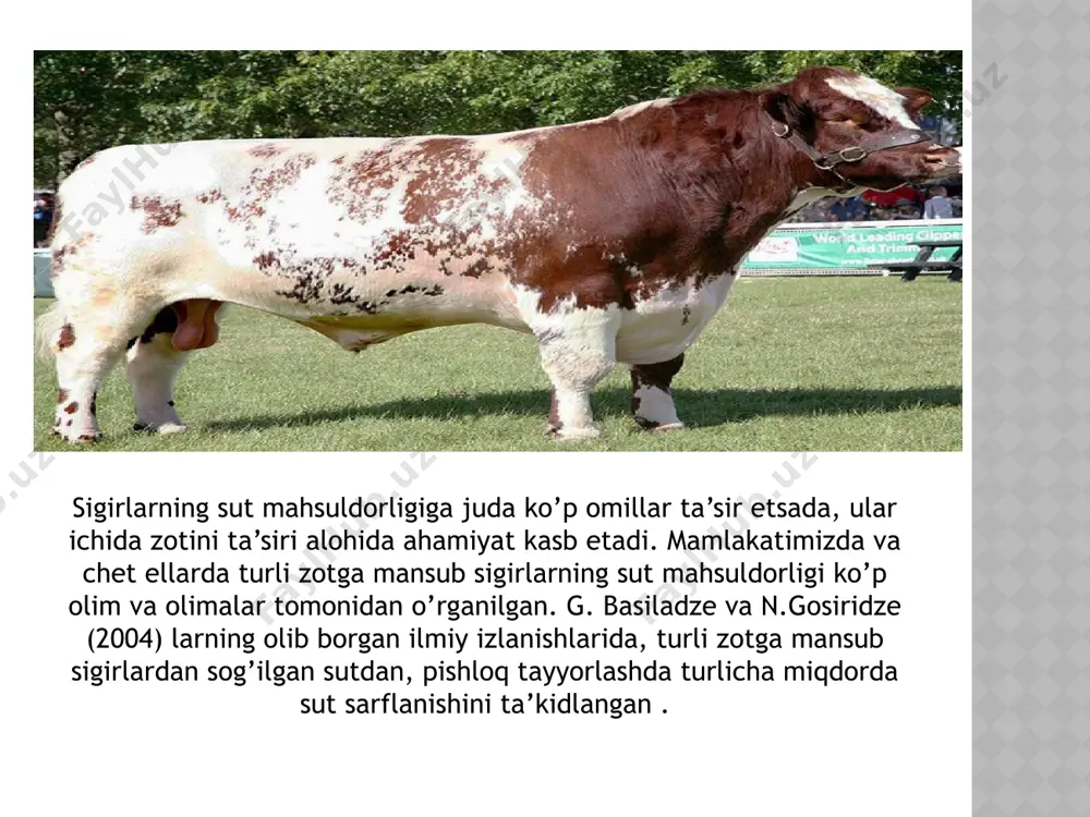 di va o'z-o'zidan eyishi mumkin emas. va onam har doim shunday bo'ladi buzoqlarga elin topish juda osonkichik bir kub uchun mineral tuzlar, oqsillar, yog'lar va vitaminlar zarur. sut orqali buzoq uni kasallikdan himoya qiladigan va o'z immunitetini shakllantirishga yordam beradigan antikorlarni oladi. e’tiboringiz uchun rahmat!!! image1.jpeg image2.jpeg image3.jpeg image4.jpeg image5.jpeg
