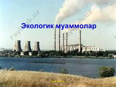 экологик муаммолар — PPT