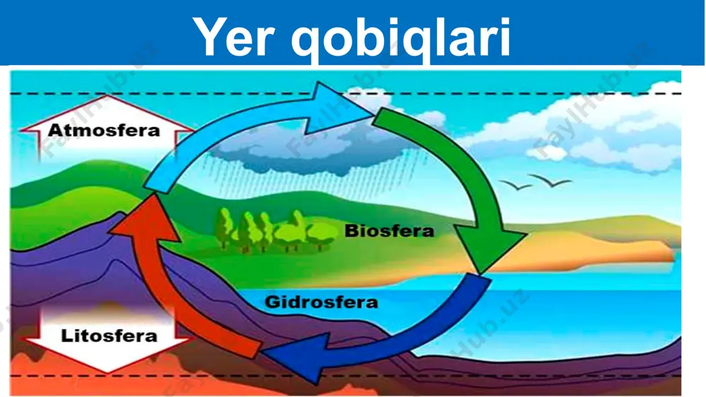 siga kirib borgan kichik va sayoz qismlariga aytiladi. hind okeanining bengaliya va fors qo‘ltiqlari, atlantika okeanining biskay qo‘ltig‘i bor. qo‘ltiqlar bo‘gizlar okean, dengiz va ko‘llarning ikkita katta qismini tutashtirib turadigan suvli tor yo‘lakka bo‘g‘iz deyiladi. masalan, gibraltar bo‘g‘izi atlantika okeanini o‘rtayer dengiz bilan tutashtirib turadi. okeanlar tagi relyefi okeanlar tagi ham quruqliklar yuzasi kabi notekis. okeanlarning materiklarga tutashgan chekka qismlarida quruqlikning suv tagidagi davomi – materik sayozligi, ya’ni shelf joylashgan. uning chuqurligi 200 m dan oshmaydi. kengligi har xil. okeanlar tagi relyefi 200 metrdan 2500–3000 metr chuqurlikkacha bo‘lgan joylar materik yonbag‘ri deyiladi. undan chuqurda okean tagi boshlanadi. okean tagida keng tekisliklar, tog‘lar, juda chuqur botiqlar mavjud. suv osti tog‘ tizmalari minglab kilometrga cho‘zilgan. okean osti foydali qazilmalari materik sayozliklari foydali qazilmalarga, ayniqsa, neft va gazga boy bo‘ladi. exolot asbobi dengiz va okeanlarning chuqurligi exolot deb ataladigan asbob bilan o‘lchanadi. bunda okean yoki dengiz tubiga qarab exolotdan tovush to‘lqini yuboriladi. tovush …