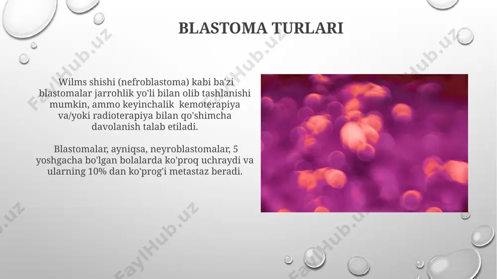 ni va klinik bosqichini aniqlash uchun diagnostika tadqiqotlaridan so'ng, antiblastoma terapiyasi uchun individual yondashuv shakllantiriladi va optimal dozalash rejimi belgilanadi, bu esa 2 dan 12 mg/m² gacha bo'lishi mumkin. anti-blastoma vositalarining asosiy 3 ta klassiga alkilovatsiyalovchi vositalar, antimetabolitlar va topoizomerazalar inhibitörlari kiradi, ularning har biri o'sma hujayralariga ta'sir qilish mexanizmi bilan farq qiladi. bemorlarni kuzatish bemorlarning 80%ida dori vositalariga bog'liq bo'lgan toksik ta'sirlar kuzatilishi mumkin, shuning uchun ularni aniqlash va tegishli choralarni ko'rish uchun muntazam tekshiruvlar zarur. davolashdan keyin 5 yil ichida blastoma takrorlanish xavfi yuqori bo'lgani sababli, uzluksiz kuzatuv va profilaktik tadbirlarning ahamiyati katta. anti-blastoma vositalarining ta'sir mexanizmi to'siq omillarini (cheklovchi punktlarni) faollashtirish orqali hujayra siklining s fazasida to'xtashini ta'minlovchi vositalar mavjud bo'lib, bu hujayra o'sishini nazorat qilishga yordam beradi. ba'zi antiblastoma vositalari apoptoz (dasturlashtirilgan hujayra o'limi) jarayonini faollashtirib, blastoma hujayralarini yo'q qilishga qaratilgan bo'lib, bu samaradorlikni 70-80% ga oshirishi mumkin. e'tiboringiz uchun rahmat @taqdimot_robot image3.png image4.jpg image5.jpg image6.jpg …