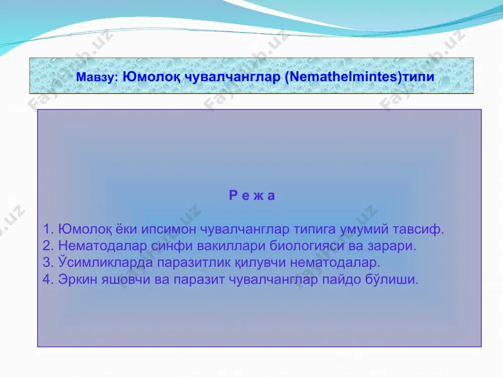 юмолоқ чувалчанглар (nemathelmintes) типи - Page 2