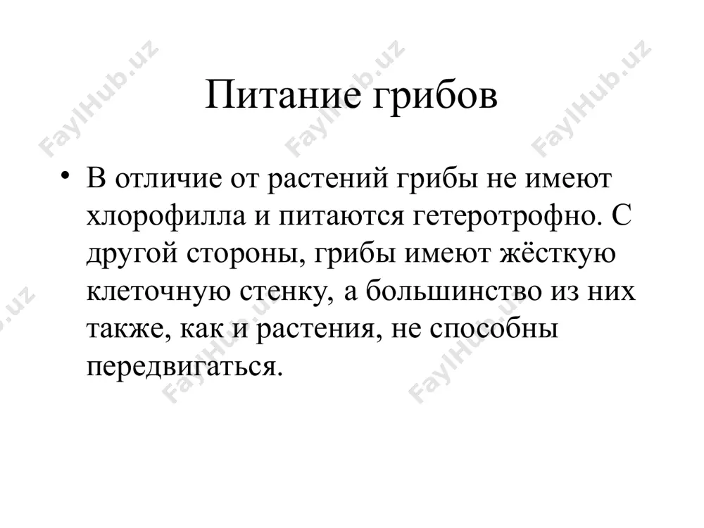 грибы - Page 3