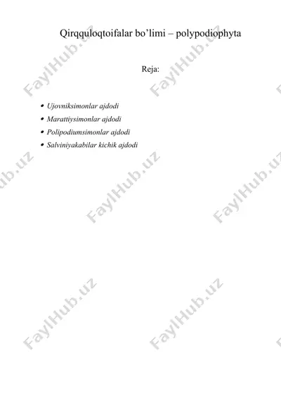 qirqquloqtoifalar bo’limi – polypodiophyta — DOCX