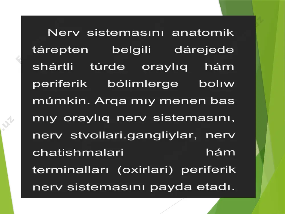 qi arteriyasin janinda boladi ham sayyar nerv penen qosilip orta stvoldi payda etedi. yarim ay siyaqli tuyin.gangeleyna semulunare taqaga uqsas bolip ishek perdesinin aldingi arteryasin orap turadi.bul nerv ush bolek bolip,ekewi qarin arteryasin,birewi ishek perdesinin aldingi arteryasin orap turadi. diqqatlariniz ushin raxmettt image1.jpeg image2.jpeg image3.jpeg image4.jpeg image5.jpeg image6.jpeg image7.jpeg image8.jpeg image9.jpeg image10.jpeg image11.jpeg image12.jpeg image13.jpeg image14.jpeg image15.jpeg image16.jpeg image17.jpeg image18.jpeg