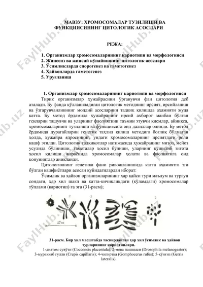 xromosomalar tuzilishi va funksiya — DOC