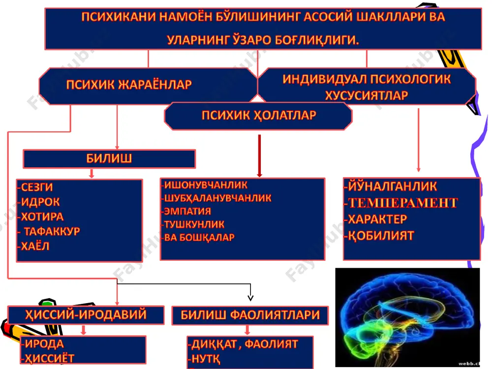 и ҳеч ким соғломлаштира олмайди. хўш, эмбрионга таъсир этувчи қандай ташқи омиллар мавжуд? озиқланиш саломатликка таъсир этувчи омиллар (бутун дунё соғлиқни сақлаш ташкилотнинг маълумотлари бўйича): бу тасвирни диққат билан таҳлил қилинг! * 16 бу тасвирда нима акс этган деб ўйлайсиз? * ўқувчи имижининг ўзгариши 1929 йил, тошкент. 2009 йил, тошкент, ал талабалари * iq eq вақт менежменти вақт–нима? нима учун? қандай қилиб? инсоннинг қуёш энергиясини қабул қилишига қараб тоифалари 1. тўрғайлар 2. бойўғлилар 3. кабутарлар диаграмма1 турмуш тарзи турмуш тарзи турмуш тарзи тиббий ёрдам тиббий ёрдам тиббий ёрдам ирсият ирсият ирсият ташки мухит ташки мухит ташки мухит восток 55% турмуш тарзи 10% тиббий ёрдам 18% ирсият 17% ташқи мухит (экология) 55 10 20 20 sheet1 турмуш тарзи тиббий ёрдам ирсият ташки мухит восток 55 10 20 20