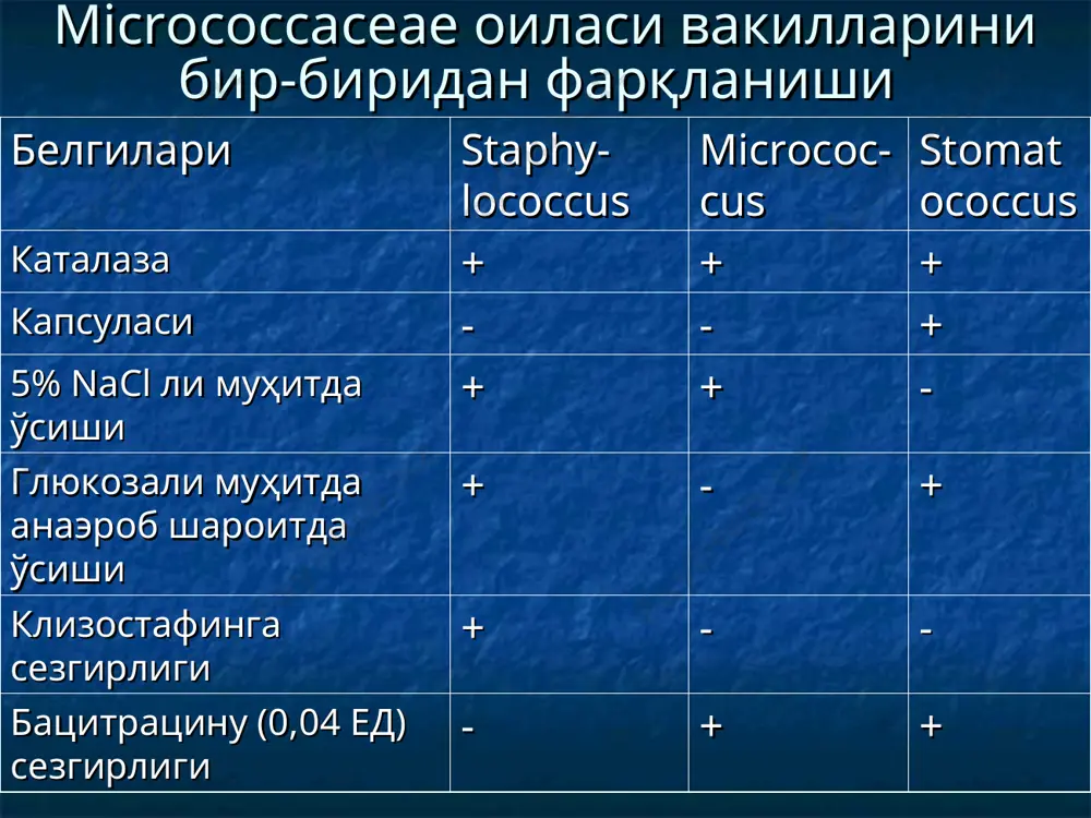 териологик текширув гемокультура (сепсисда), ревматик лиха-радка, гломерулонефритда қон зардоби биринчи кун иккинчи кун учинчи кун суртма, грам усулида бўяш серологик о-стрептоли-зинга ат ни аниқлаш суртма, грам усулида бўяш, грам мусбат занжирсимон жойлаган кокклар топилса жабоб каталаза пробаси (-) колонияларни характери, гемо-лиз (α, β,γ) ҳосил қилиши суртма, грам усулида бўяш мусбат бўлса қа экиш. гпб, рн= 9,2 ( -) мкқс муҳит (-) ўс муҳит (-) фибринолизин (+) антибиотикларга сезгирлигини аниқлаш бактрацинга сезгирлиги аниқлаш (99% сезгир) (+) зарур бўлса лэнсфилд бўйича серо- идентификация я к у н и й ж а в о б - cхема. а гуруҳ стрептококкларни бактериологик текшириш қа за қб қа қб га экиш қб га экиш (соф культура) патоген анаэроблар – газли гангрена қўзғатувчиларининг характеристикаси микроб турлари ҳаракатчанлиги ҳайвонлар устидаги тажрибалар культурал хусусиятлари сутда ўсиши углеводларни ферментация қилиши қонли агарда устунчали агарда г л м са ма гл cl. perfringens cl. novyi cl. septicum cl. histolyticum — …