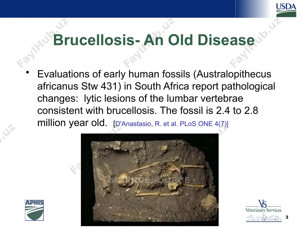 ease. thus the true incidence of human brucellosis is unknown and the estimated burden of the disease varies widely. rev. sci. tech. economics of brucellosis impact and control in low-income countries j. mcdermott (1)*, d. grace (2) & j. zinsstag (3) off. int. epiz., 2013, 32 (1), 249-261 even the most conservative prevalence estimates (calculated on the basis of the number of ruminants in asia and africa [table i]) suggest that the number of cases is far higher than reported. 8 global incidence 9 safeguarding animal health the world livestock disease atlas (36), based on official reports to the world organization for animal health (oie), has few data from tropical africa and asia and does not show these as the highest-risk countries. however, it is clear that the degree of under-reporting of brucellosis is enormous. even the most conservative prevalence estimates (calculated on the basis of the number of ruminants …