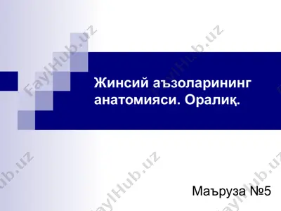 жинсий аъзоларининг анатомияси — PPT