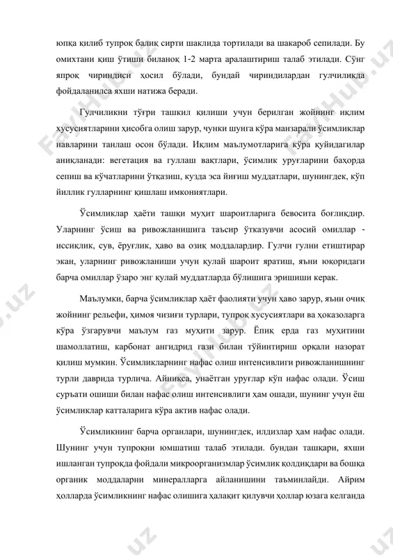 и. гулчиликни тўғри ташкил қилиши учун берилган жойнинг иқлим хусусиятларини ҳисобга олиш зарур, чунки шунга кўра манзарали ўсимликлар навларини танлаш осон бўлади. иқлим маълумотларига кўра қуйидагилар аниқланади: вегетация ва гуллаш вақтлари, ўсимлик уруғларини баҳорда сепиш ва кўчатларини ўтқазиш, кузда эса йиғиш муддатлари, шунингдек, кўп йиллик гулларнинг қишлаш имкониятлари. ўсимликлар ҳаёти ташқи муҳит шароитларига бевосита боғлиқдир. уларнинг ўсиш ва ривожланишига таъсир ўтказувчи асосий омиллар - иссиқлик, сув, ёруғлик, ҳаво ва озиқ моддалардир. гулчи гулни етиштирар экан, уларнинг ривожланиши учун қулай шароит яратиш, яъни юқоридаги барча омиллар ўзаро энг қулай муддатларда бўлишига эришиши керак. маълумки, барча ўсимликлар ҳаёт фаолияти учун ҳаво зарур, яъни очиқ жойнинг рельефи, ҳимоя чизиғи турлари, тупроқ хусусиятлари ва ҳоказоларга кўра ўзгарувчи маълум газ муҳити зарур. ёпиқ ерда газ муҳитини шамоллатиш, карбонат ангидрид гази билан тўйинтириш орқали назорат қилиш мумкин. ўсимликларнинг нафас олиш интенсивлиги ривожланишнинг турли даврида турлича. айниқса, унаётган уруғлар кўп нафас олади. ўсиш суръати ошиши билан нафас …