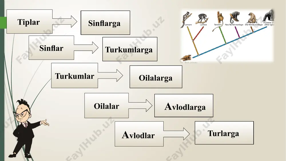 evolutsion o‘zgarishlarning tiplari - Page 5