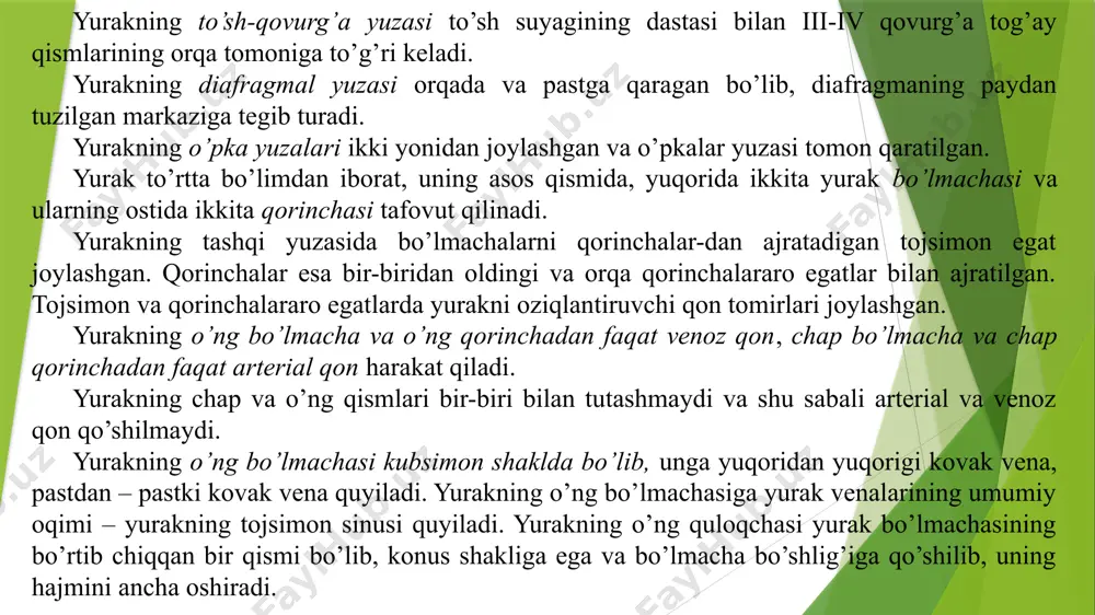 ba’zan ovalsimon teshikcha bitmasdan qolishi mumkin. yurakning o’ng bo’lmachasi bilan o’ng qorinchasi chega-rasida qorinchaning o’ng bo’lmacha – qorincha teshigi bor. bu teshik qorincha qisqarganda (sistolasida) uch tabaqali qopqoq (klapan) bilan yopiladi. uch tabaqali klapan yuzasidan ingichka pay iplari boshlanadi va bu paylar borib so’rg’ichsimon muskullarga birikadi. natijada har bir so’rg’ichsion muskul klapanga pay iplari yordamida tutashib turadi. o’ng qorincha qon o’ng bo’lmachadan o’ng bo’lmacha-qorincha teshigi orqali o’ng qorinchaga o’tadi. bo’lmacha-qorincha teshigining chetida uch tabaqali klapan joylashgan bo’lib, uning tarkibida oldingi, orqa va to’siqli tabaqalar farqlanadi. tabaqalar – endokard burmalari bo’lib, zich tolali biriktiruvchi to’qimadan tuzilgan. tabaqalarni tutashish joyida biriktiruvchi to’qima o’ng bo’lmacha-qorinchali teshikni atrofini chegaralab turgan fibroz halqaga aylanadi. tabaqalarning bo’lmachali sirti silliq, qorinchali sirti esa notekis bo’lib, bo’rtiqlaridan payli ipchalar boshlanadi. o’ng qorincha uch qirrali piramida shaklida bo’lib, qorinchaning yuzasida muskul tutamlari bir-biri bilan kesishib murakkab muskul chigali – et to’siqlarini hosil qiladi. qorincha devoridan bo’shlig’ ichiga chiqib turadigan …
