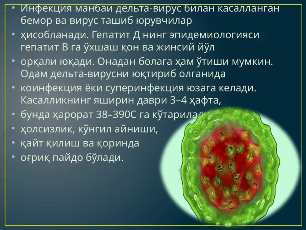 –50 кун. гепатит е нинг клиник белгилари, асосан, гепатит а га ўхшайди, лекин касаллик аста-секин ривожланади. гепатит е эпидемиялари вақтида бу касаллик билан оғриган ҳомиладор аёллар ўлими 10–40% гача бўлиши мумкин. касалликнинг оғир кечиши ҳомилага кескин салбий таъсир қилади, бунда ҳар икки боладан бири ўлик туғилади. касалликдан сўнг кучли, бутун умр давом этадиган иммунитет ҳосил бўлади. гепатит е га лаборатория ташҳиси қўйиш учун беморнинг қон зардобида гепатит е га қарши антителолар аниқланади. касалликнинг бошланғич даврида бемор нажасини иммуноэлектронмикроскопия билан текшириб гепатит е вирусини топиш мумкин. умумий профилактикаси гепатит е га ўхшаш, махсус профилактикаси ҳали ишлаб чиқилмаган. etiboringgiz uchun rahmat image1.png image2.jpeg image3.jpeg image4.jpeg image5.jpeg image6.gif image7.png image8.jpeg image9.jpeg image10.jpeg image11.jpeg image12.jpeg image13.jpeg image14.jpeg image15.jpeg audio1.wav image16.jpeg image17.gif image18.gif /docprops/thumbnail.jpeg