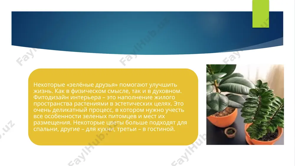 зеленые друзья - Page 4