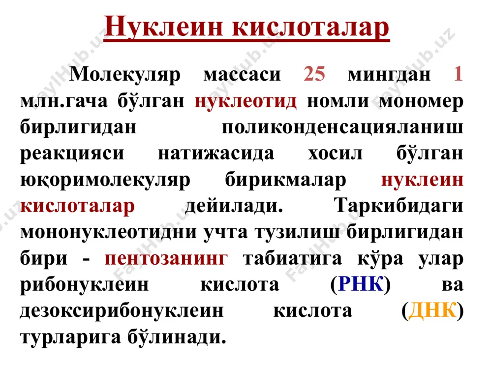 нуклеозидлар ва нуклеотидлар таркиби ва хоссалари - Page 4