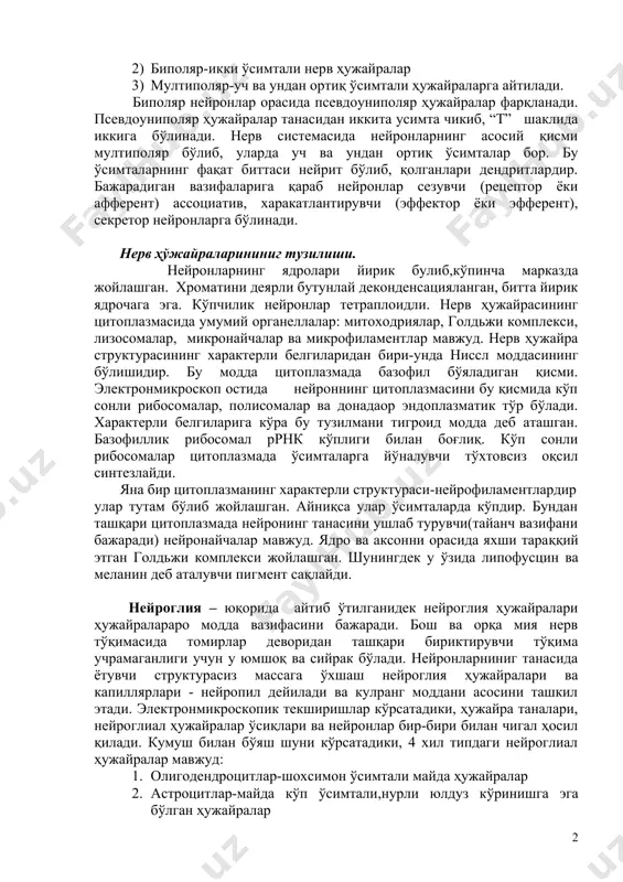 ёки пирамидасимон шаклда бўлади. барча нейронлар ўсимталарга эга. улардан бири нейрит ёки аксон дейилади, қолганлари-дендритлардир. нейронлар ўсимталарининг сонига қараб классификацияланади. 1) униполяр-1 та ўсимтали нерв ҳужайралар. бу ҳужайралар одамда фақат эмбрионал даврда учрайди. 2) биполяр-икки ўсимтали нерв ҳужайралар 3) мултиполяр-уч ва ундан ортиқ ўсимтали ҳужайраларга айтилади. биполяр нейронлар орасида псевдоуниполяр ҳужайралар фарқланади. псевдоуниполяр ҳужайралар танасидан иккита усимта чикиб, “t” шаклида иккига бўлинади. нерв системасида нейронларнинг асосий қисми мултиполяр бўлиб, уларда уч ва ундан ортиқ ўсимталар бор. бу ўсимталарнинг фақат биттаси нейрит бўлиб, қолганлари дендритлардир. бажарадиган вазифаларига қараб нейронлар сезувчи (рецептор ёки афферент) ассоциатив, харакатлантирувчи (эффектор ёки эфферент), секретор нейронларга бўлинади. нерв ҳўжайраларининиг тузилиши. нейронларнинг ядролари йирик булиб,кўпинча марказда жойлашган. хроматини деярли бутунлай деконденсацияланган, битта йирик ядрочага эга. кўпчилик нейронлар тетраплоидли. нерв ҳужайрасининг цитоплазмасида умумий органеллалар: митоходриялар, голдьжи комплекси, лизосомалар, микронайчалар ва микрофиламентлар мавжуд. нерв ҳужайра структурасининг характерли белгиларидан бири-унда ниссл моддасининг бўлишидир. бу модда цитоплазмада базофил бўяладиган қисми. электронмикроскоп остида …